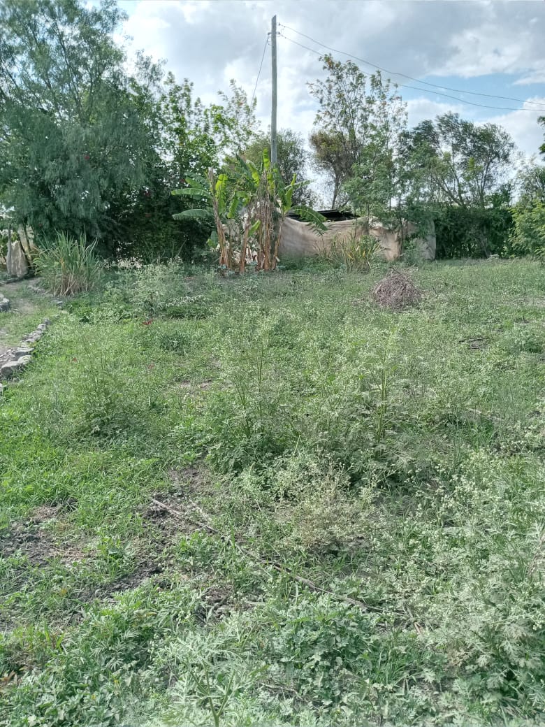 1/2 acre for sale at kitengela 