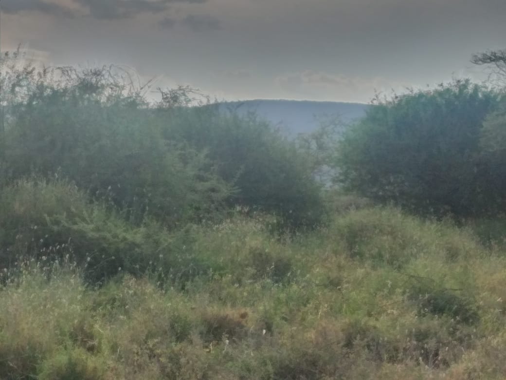 50 x100 (1/8) Plots for sale in Tinga Magadi road