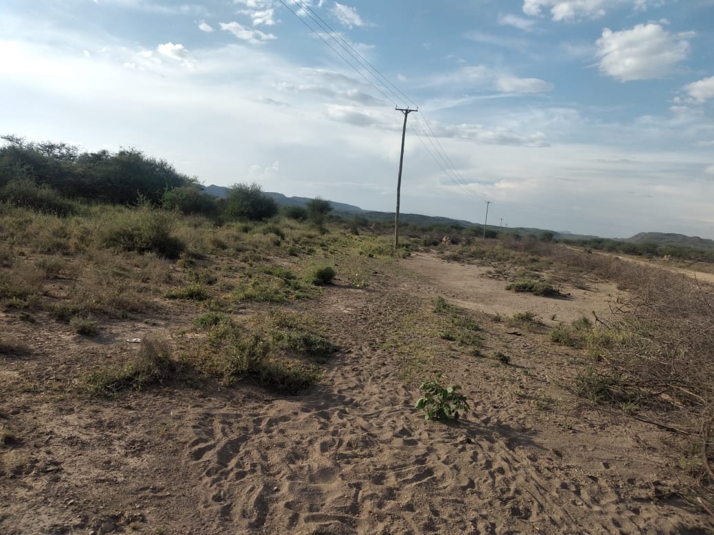 50 x100 (1/8) Plots for sale in Tinga Magadi road