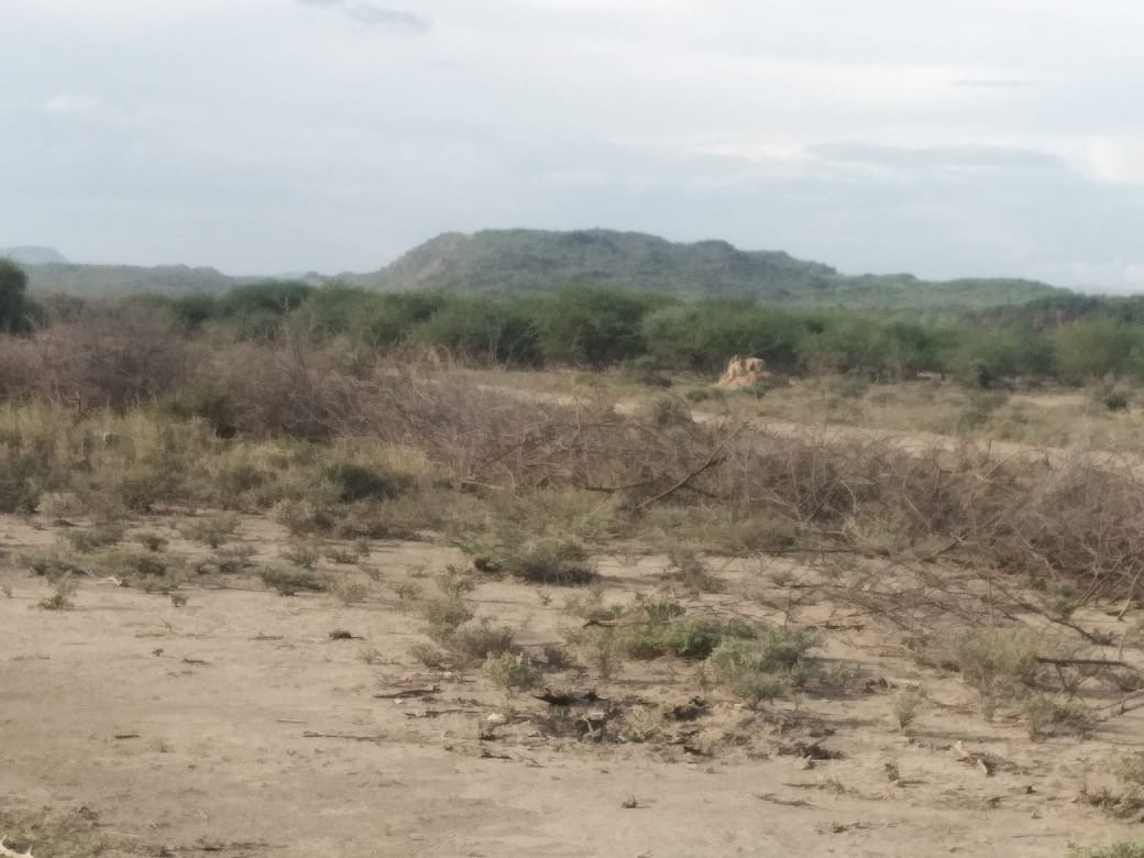 50 x100 (1/8) Plots for sale in Tinga Magadi road