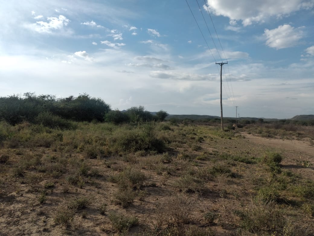 50 x100 (1/8) Plots for sale in Tinga Magadi road
