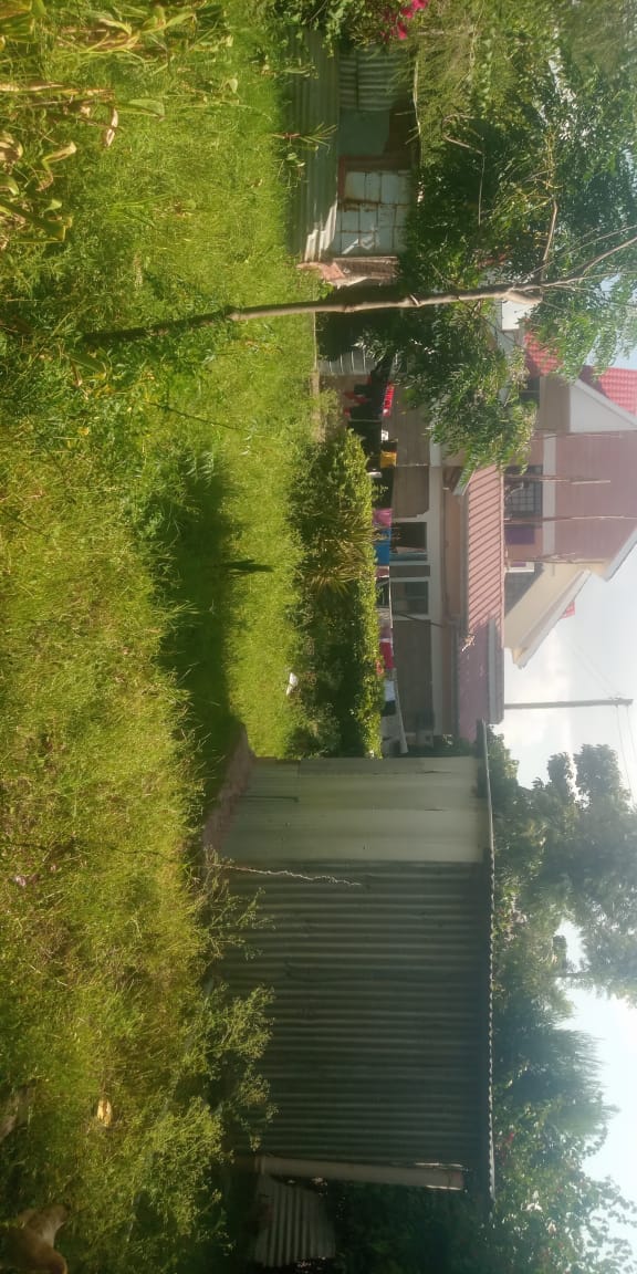 3 bedroom house in kangundo road