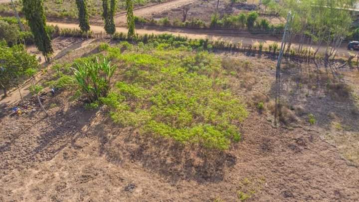 50 by 100 Plots at Mtwapa 