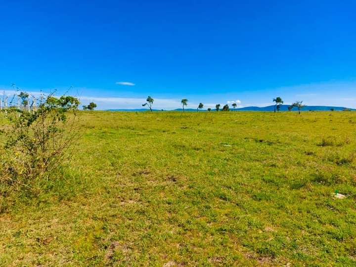 50by100 at malili konza