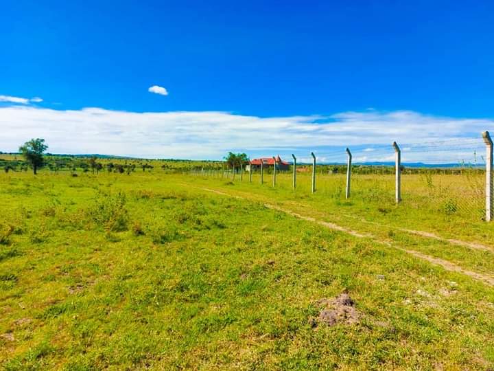 50by100 at malili konza