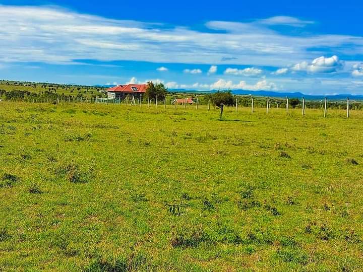 50by100 at malili konza