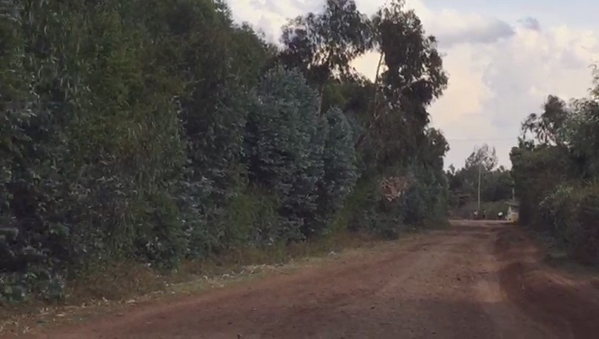 18 Acres land for sale in Ndiya Limuru Kiambu county Distress sale