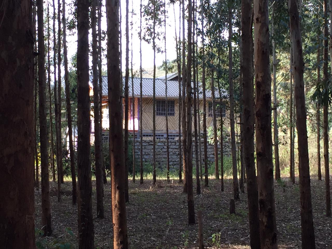 18 Acres land for sale in Ndiya Limuru Kiambu county Distress sale