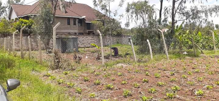 100*100 Plot for sale at kamiti road