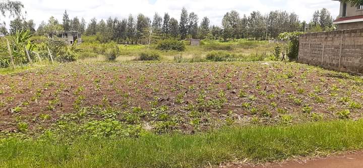 100*100 Plot for sale at kamiti road