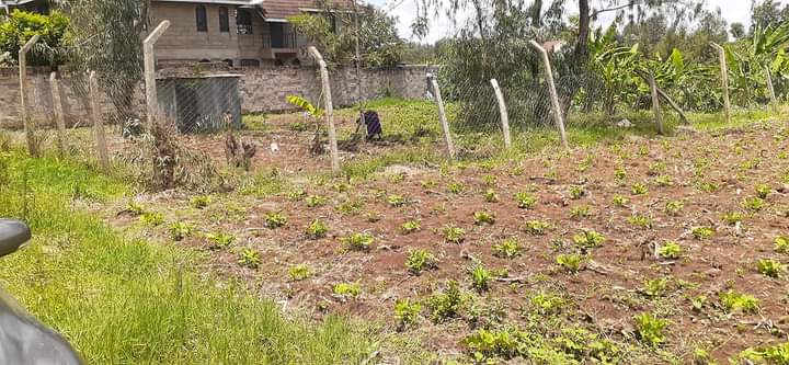 100*100 Plot for sale at kamiti road