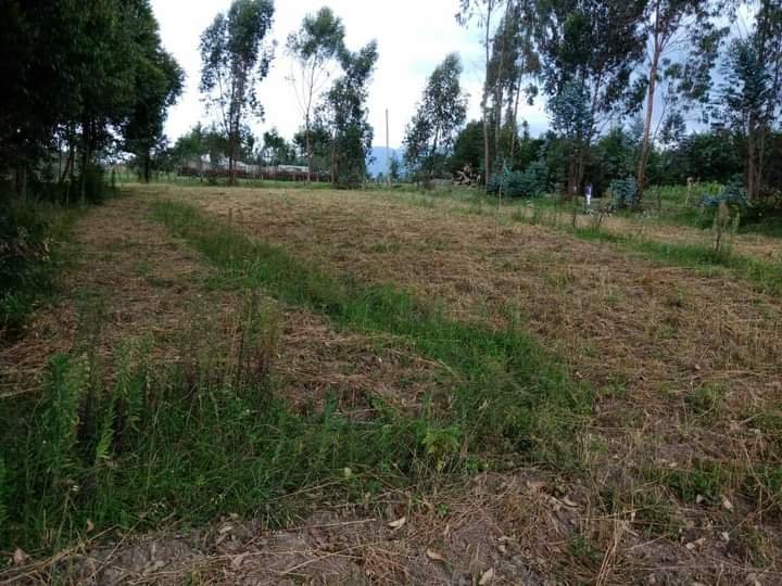 50 by 100 at nyandarua ndunyu njeru