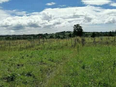 50 by 100 at nyandarua ndunyu njeru