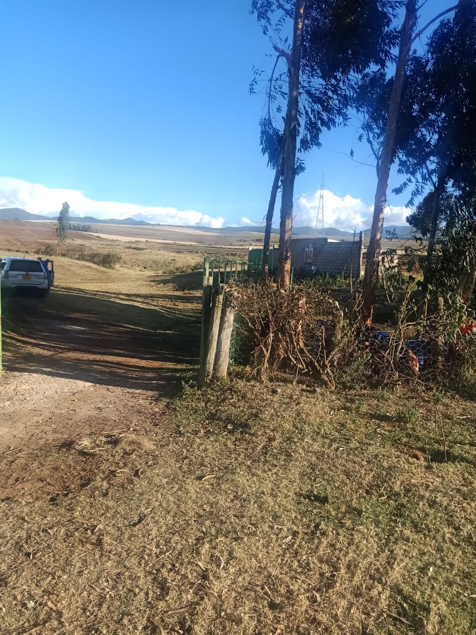 14.5 Acres agricultural land for sale in Timau Kisima Touching tarmac