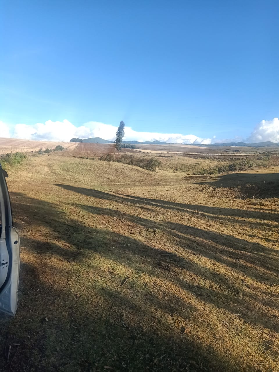 14.5 Acres agricultural land for sale in Timau Kisima Touching tarmac