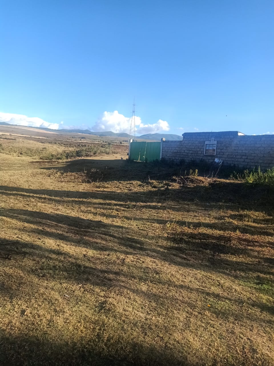14.5 Acres agricultural land for sale in Timau Kisima Touching tarmac