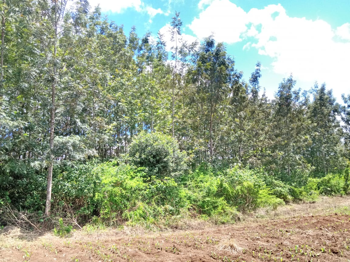 3.25 acres for sale at kirinyaga