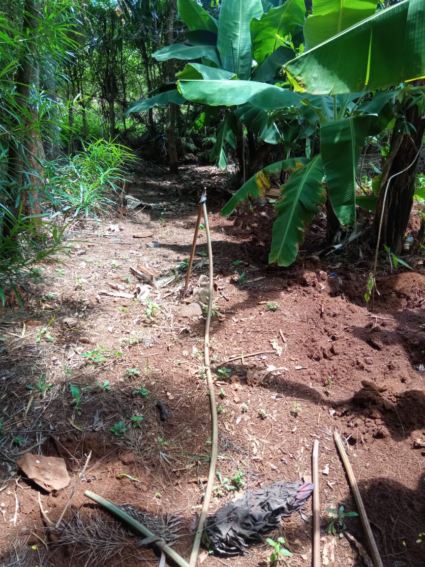 3.25 acres for sale at kirinyaga