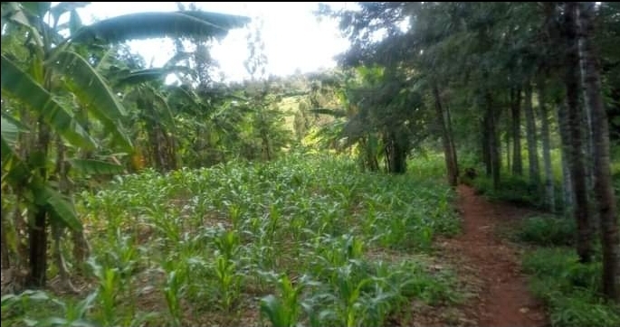 Plot for sale  at Mwea