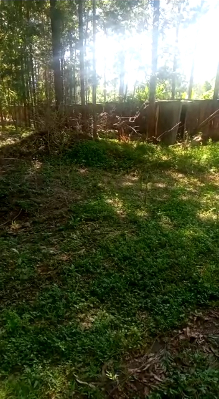 2 acres at makuyu.