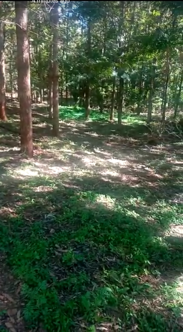2 acres at makuyu.