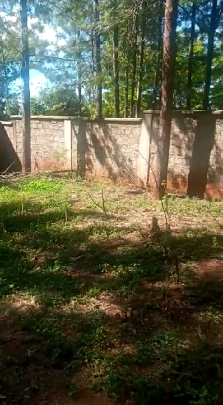 2 acres at makuyu.