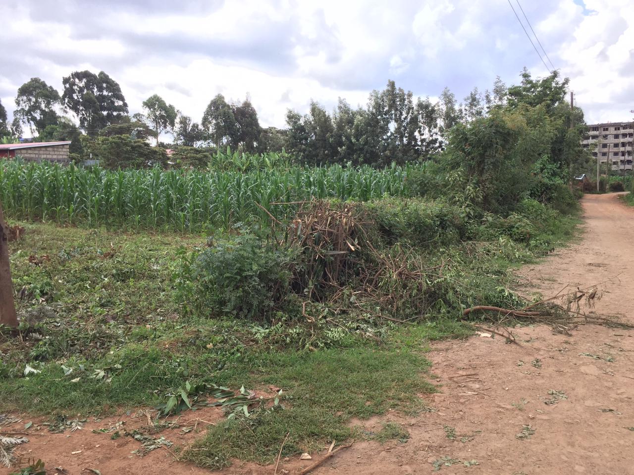 50 by 100 plot for sale in Kamangu Ndeiya