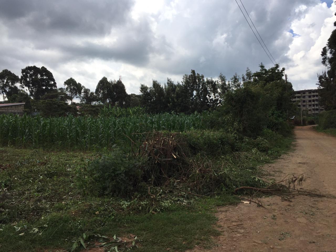 50 by 100 plot for sale in Kamangu Ndeiya