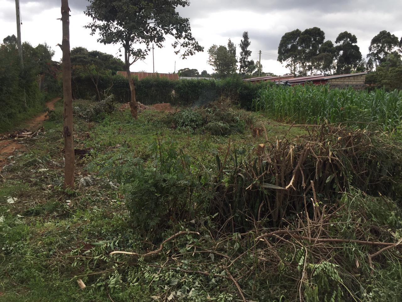 50 by 100 plot for sale in Kamangu Ndeiya