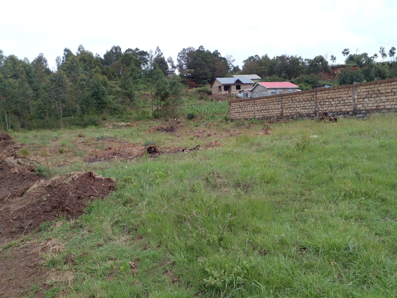 Prime plot for sale in Kamangu tonw