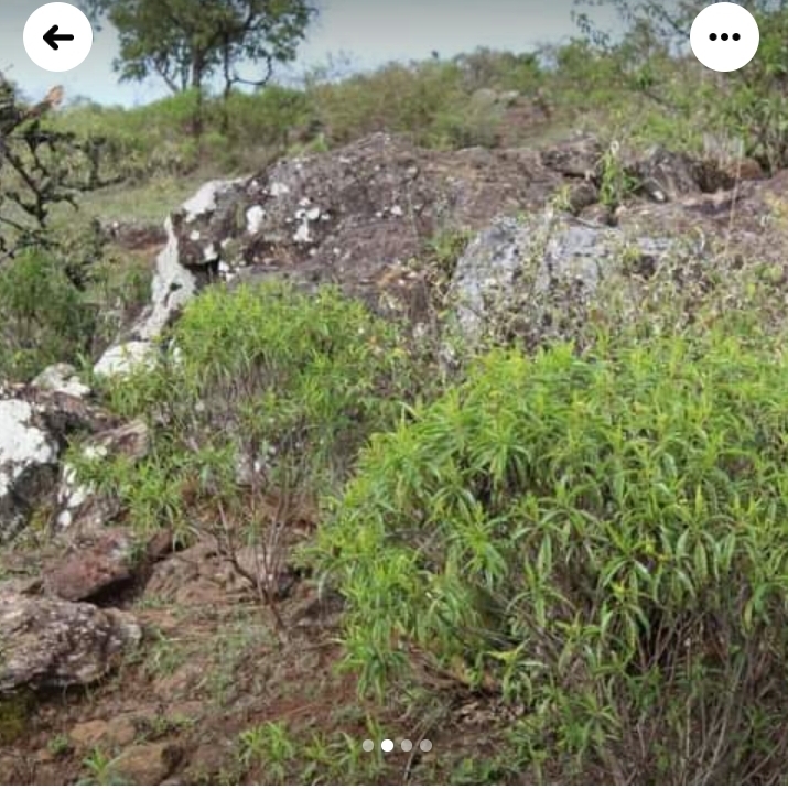 6.1 acres  for sale at Rumuruti 