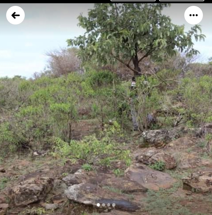 6.1 acres  for sale at Rumuruti 