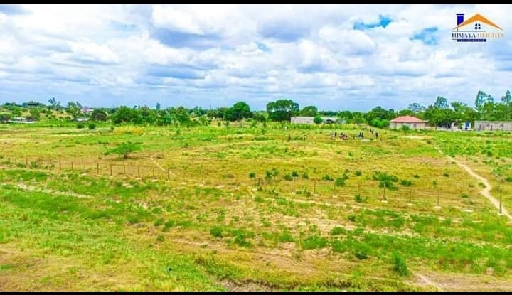 50 by 100 at mariakani