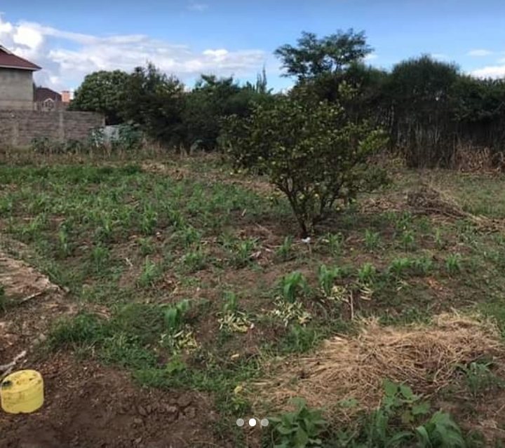 3 plots along eastern bypass.karunguru