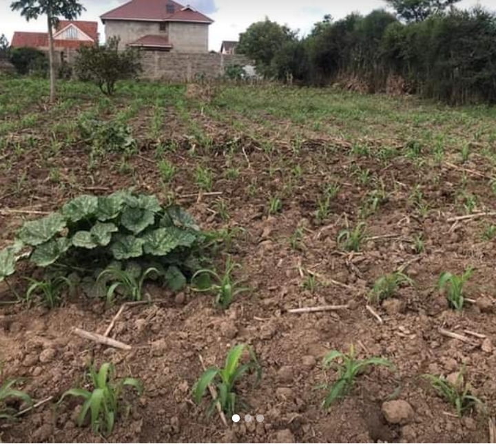 3 plots along eastern bypass.karunguru
