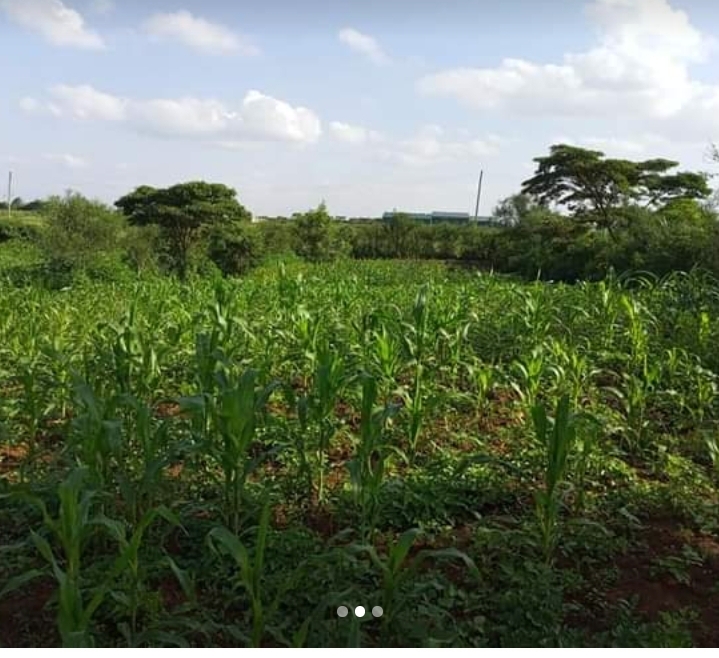 0.5 acres at thika
