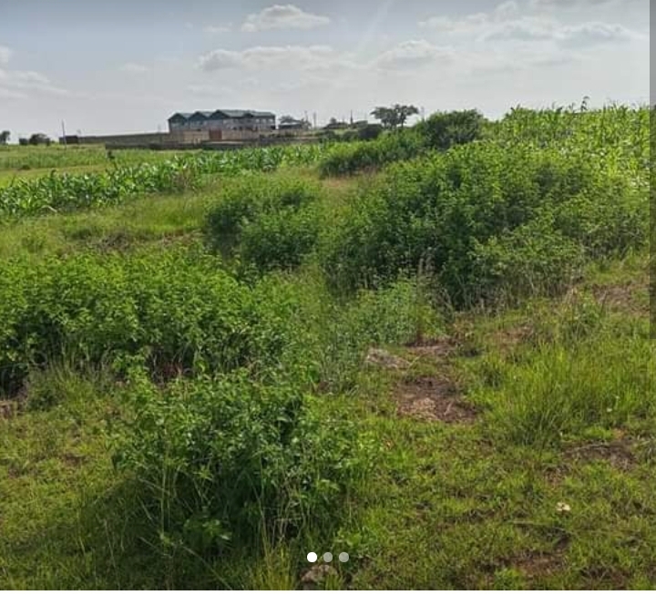 0.5 acres at thika