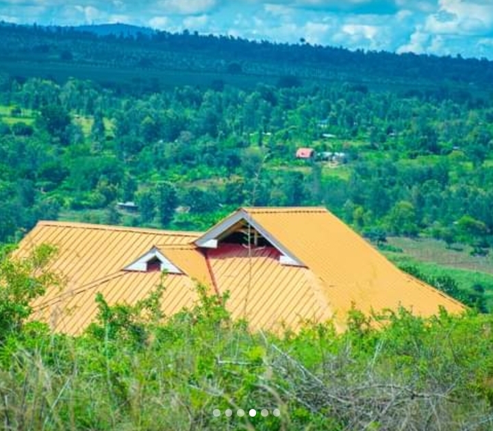 50x100 at Goliba