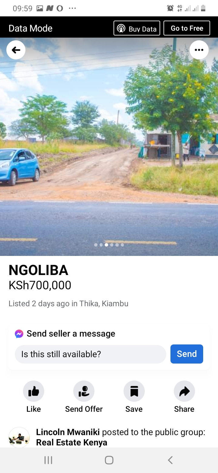 50x100 at Goliba