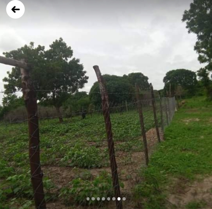 50x100 at malindi