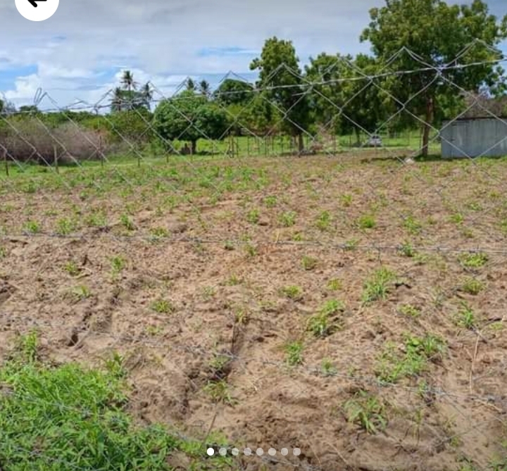 50x100 at malindi