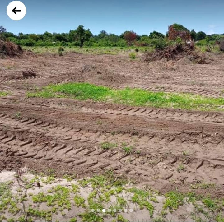 50x100 at malindi