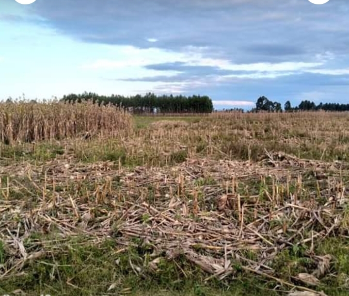 1 acre in nashkuru-njoro