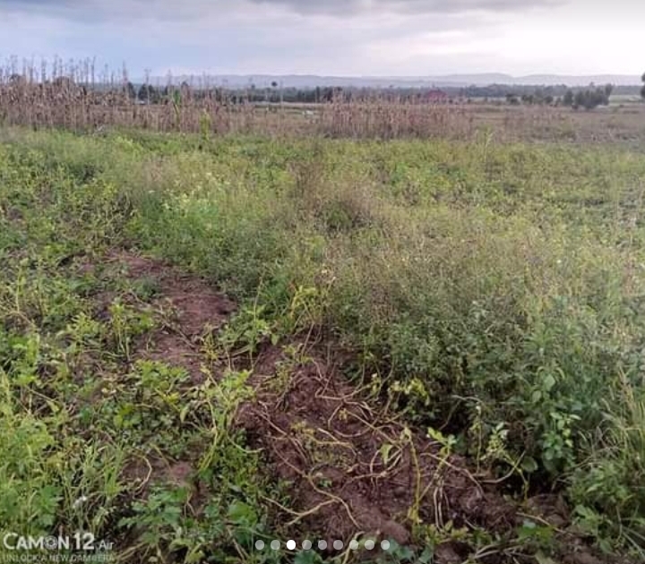 1 acre in nashkuru-njoro