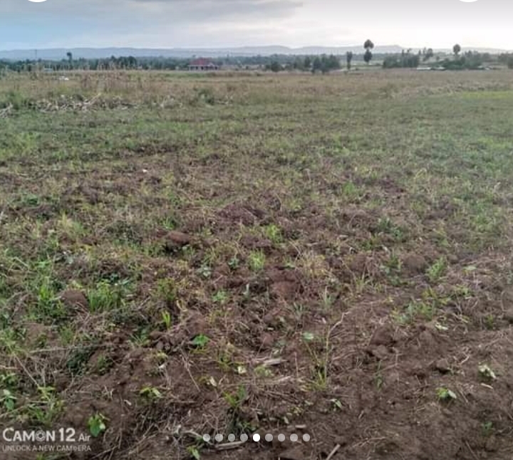 1 acre in nashkuru-njoro