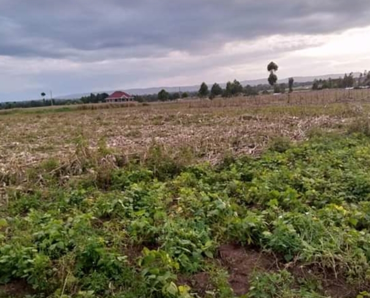 1 acre in nashkuru-njoro