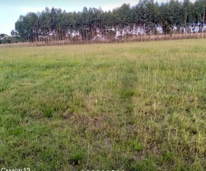 1 acre in nashkuru-njoro