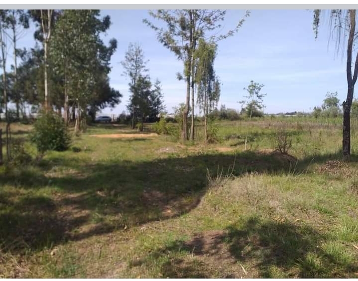 11 acres at nyahururu Elmore olok 