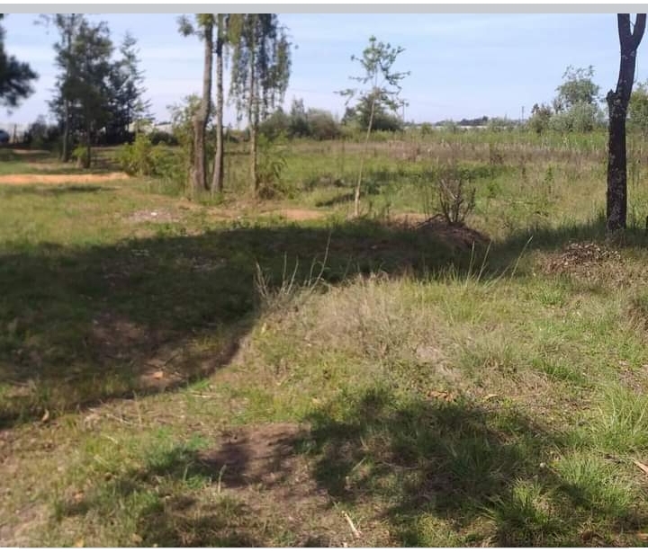 11 acres at nyahururu Elmore olok 