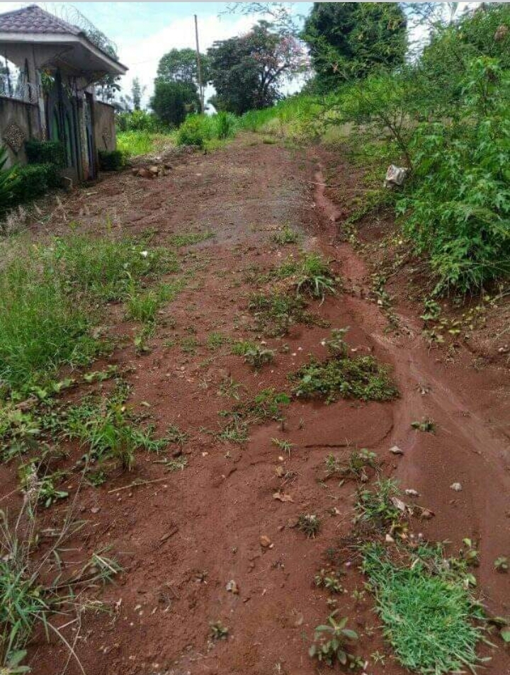 40 by 80 plot at kenol town
